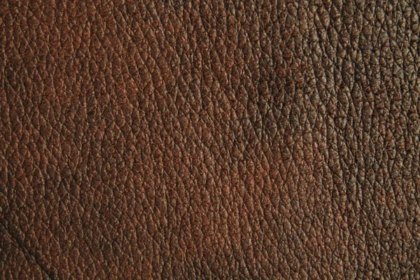 Natural Leather Texture Background — Stock Photo, Image