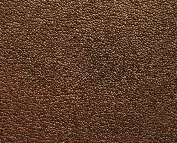 Natural Leather Texture Background — Stock Photo, Image