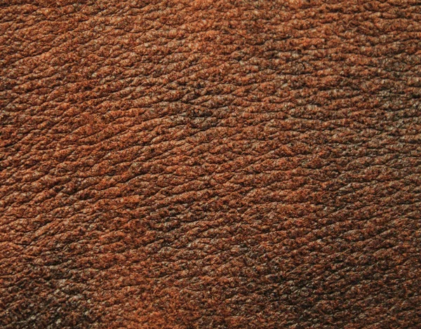 Natural Leather Material Texture Background — Stock Photo, Image