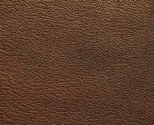 Natural Leather Texture Background Stock Picture