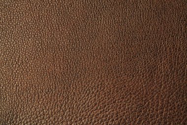 Doğal deri dokusu arka planı