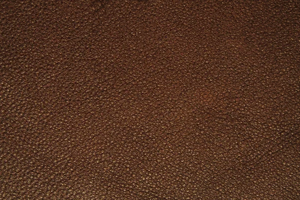 天然皮革素材の質感の背景 — ストック写真