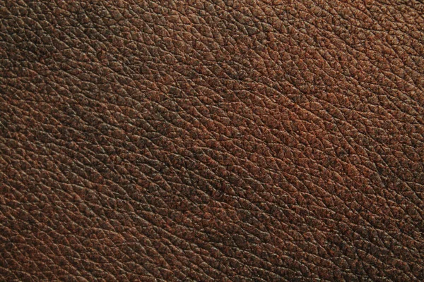 Natural Leather Texture Background — Stock Photo, Image