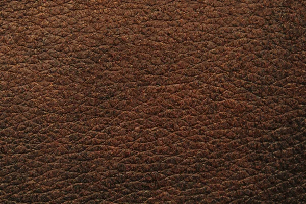 Natural Leather Material Texture Background — Stock Photo, Image