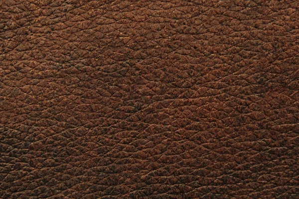 Текстурный Фон Натуральной Кожи — стоковое фото