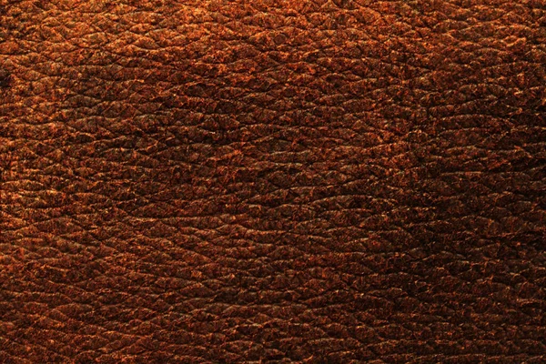 Material Cuero Natural Textura Fondo — Foto de Stock