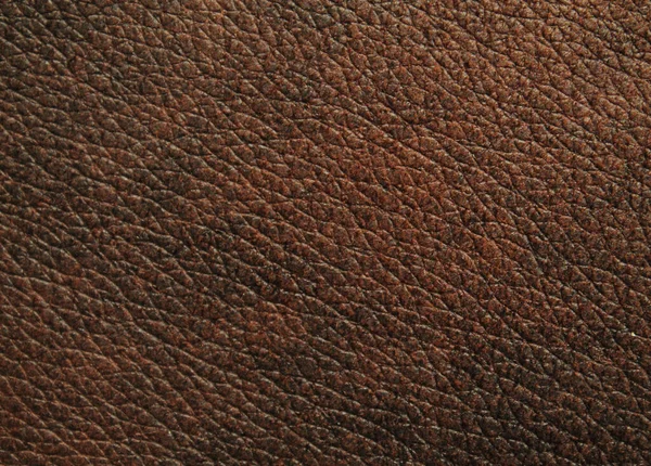 Natural Leather Texture Background — Stock Photo, Image