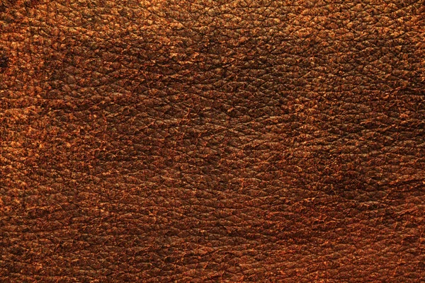 Natural Leather Material Texture Background — Stock Photo, Image