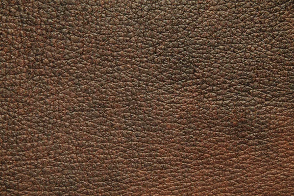 Materiale Pelle Naturale Texture Sfondo — Foto Stock