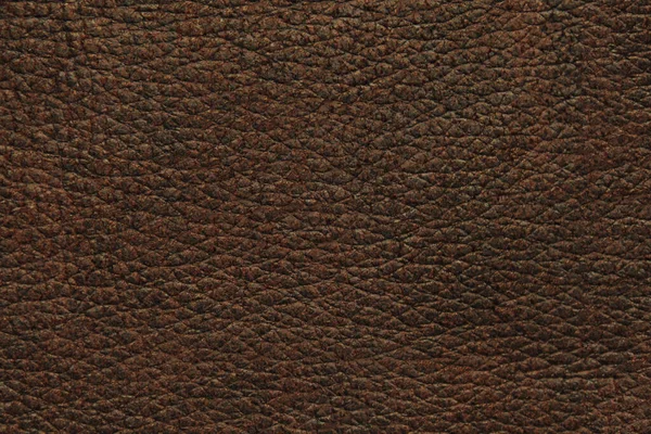 Material Cuero Natural Textura Fondo —  Fotos de Stock