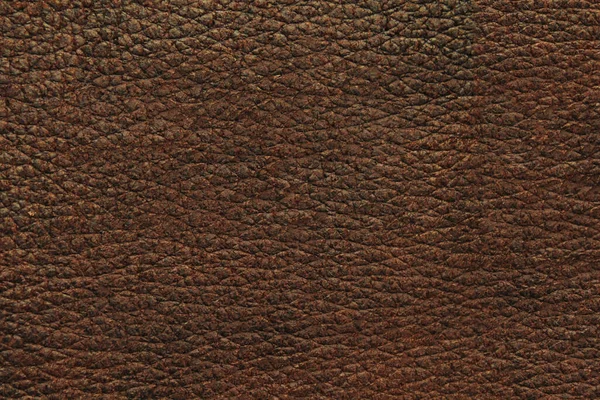 Naturleder Material Textur Hintergrund — Stockfoto