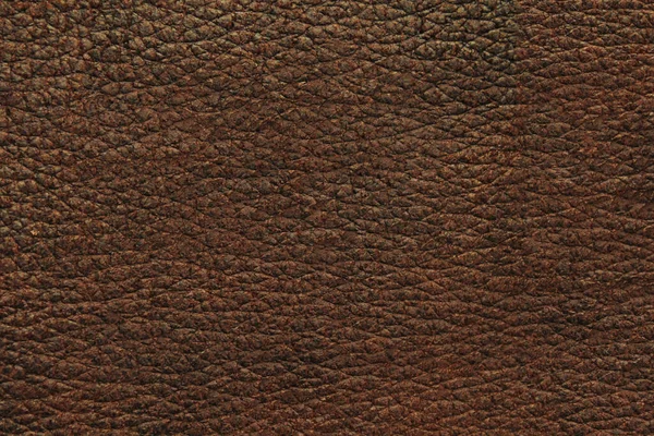 Material Couro Natural Textura Fundo — Fotografia de Stock