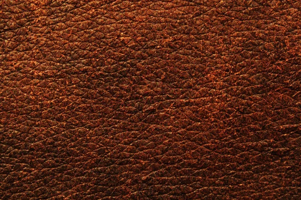 Material Cuero Natural Textura Fondo — Foto de Stock