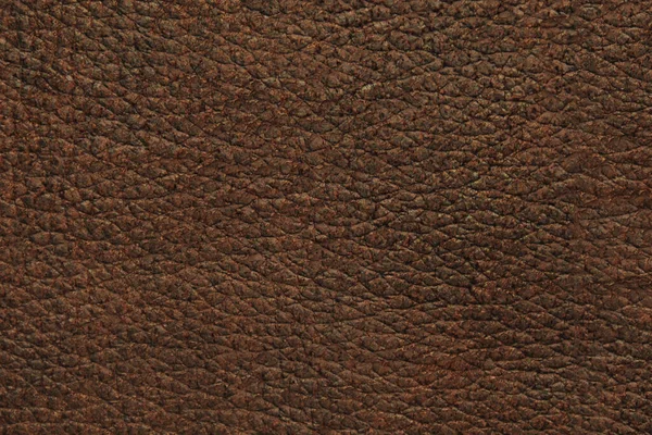 Naturleder Material Textur Hintergrund — Stockfoto