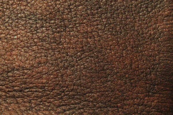 Természetes Bőr Textúra Háttér — Stock Fotó