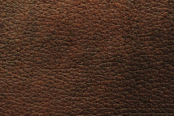 Přírodní Kožený Materiál Textura Pozadí — Stock fotografie