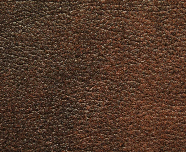 Natural Leather Texture Background — Stock Photo, Image