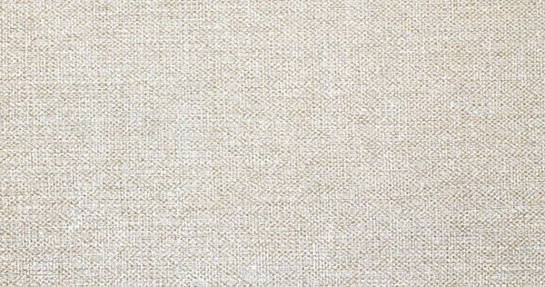 Material Lino Natural Textil Textura Lona Fondo — Foto de Stock