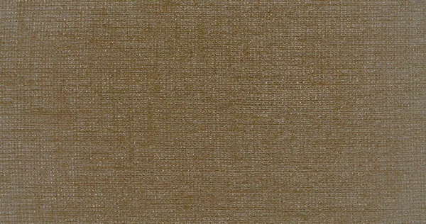 Material Lino Natural Textil Textura Lona Fondo — Foto de Stock