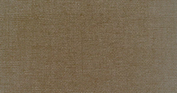 Material Lino Natural Textil Textura Lona Fondo — Foto de Stock