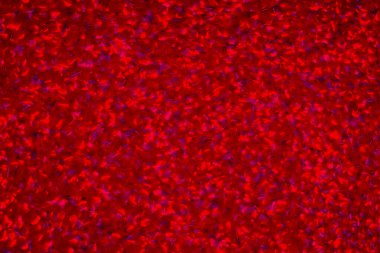 Dinamik tasarımı olan parlak soyut doku kırmızı arkaplan 