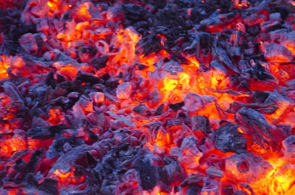 Skomírajícího ohně. Burnt strom. Bonfire — Stock fotografie