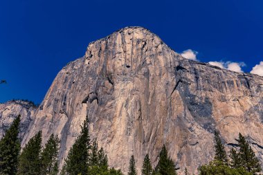 El Capitan 'ın dünyaca ünlü kaya tırmanışı duvarı, Yosemite Ulusal Parkı, Kaliforniya, ABD