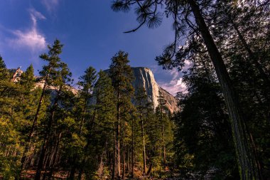 El Capitan 'ın dünyaca ünlü kaya tırmanışı duvarı, Yosemite Ulusal Parkı, Kaliforniya, ABD
