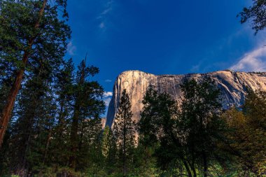 El Capitan 'ın dünyaca ünlü kaya tırmanışı duvarı, Yosemite Ulusal Parkı, Kaliforniya, ABD