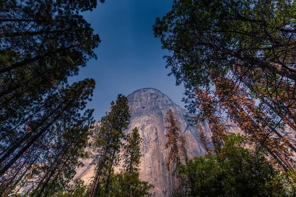 Mur Escalade Renommée Mondiale Capitan Parc National Yosemite Californie États — Photo