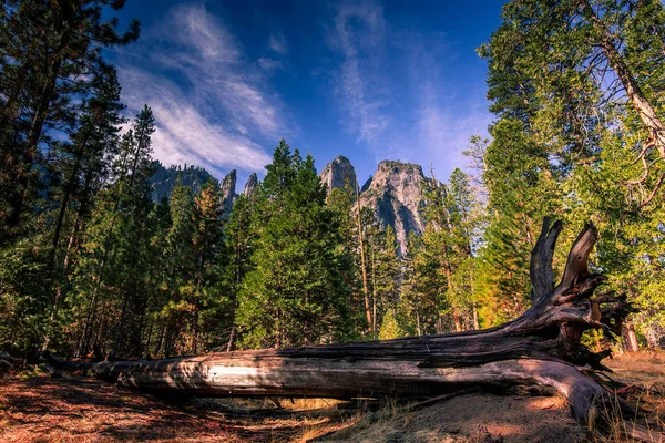 Světoznámá Horolezecká Stěna Capitan Yosemitský Národní Park Kalifornie Usa — Stock fotografie