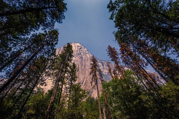 世界的に有名なエルキャピタンのロッククライミングウォール ヨセミテ国立公園 カリフォルニア州 Usa — ストック写真