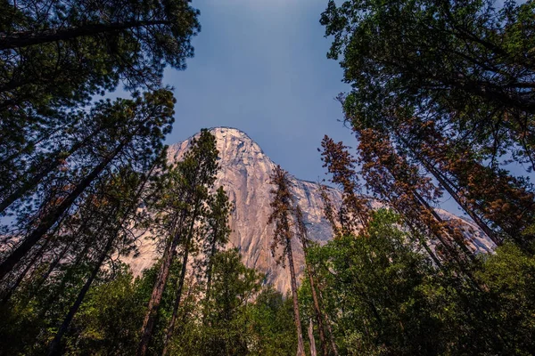 Muro Escalada Roca Mundialmente Famoso Capitán Parque Nacional Yosemite California — Foto de Stock