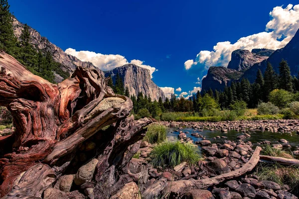 Yosemite Valley Parco Nazionale Dello Yosemite California Stati Uniti — Foto Stock