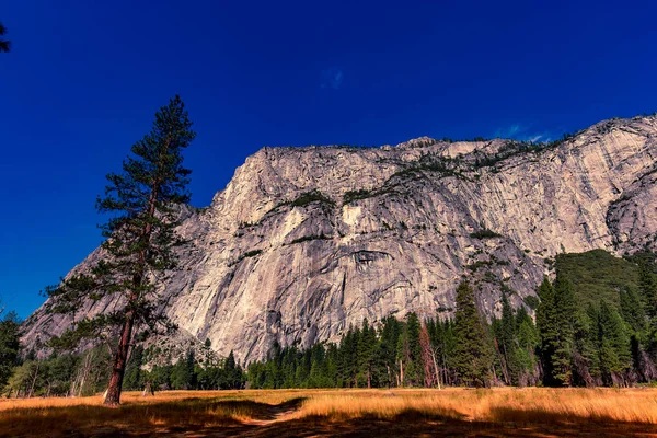 Vallée Yosemite Parc National Yosemite Californie États Unis — Photo