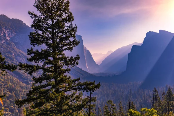 Vale Yosemite Parque Nacional Yosemite Califórnia Eua — Fotografia de Stock