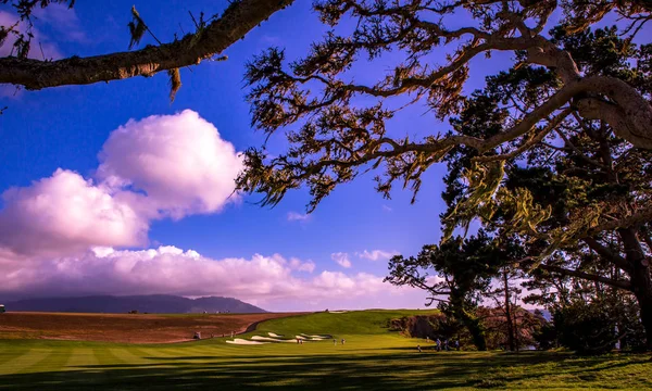 Поле для гольфа в Калифорнии — стоковое фото