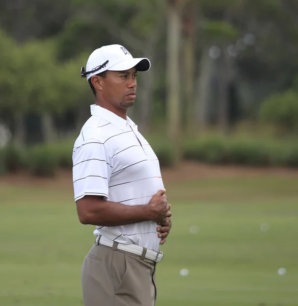 Tiger Woods, Tpc Sawgrass, hráči 2012, Ponte Vedra, F — Stock fotografie