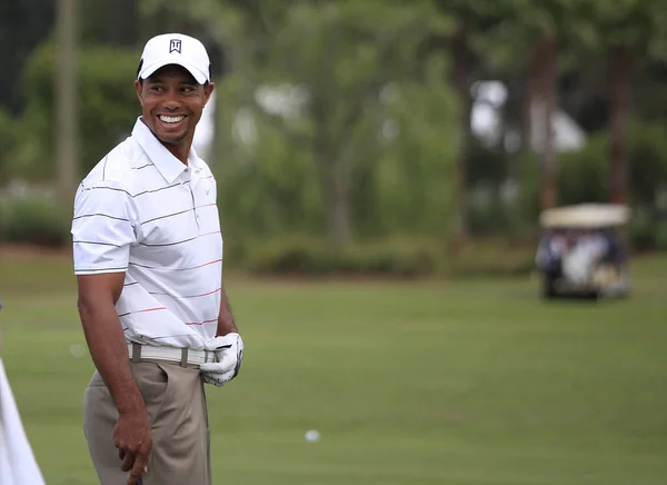 Tiger woods golf Stock Photos, Royalty Free Tiger woods golf Images