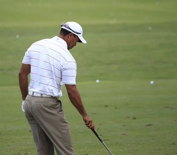 Tiger Woods, TPC Sawgrass, Игроки 2012, Ponte Vedra, F — стоковое фото