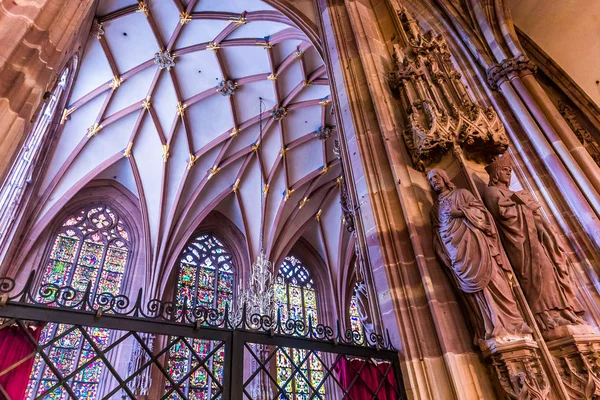 Katedralen i strasbourg, Frankrike — Stockfoto