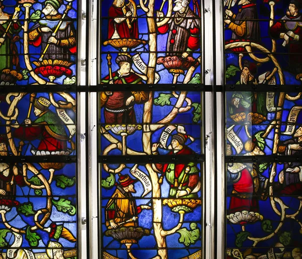 Vidrieras de la catedral, Troyes, Francia —  Fotos de Stock
