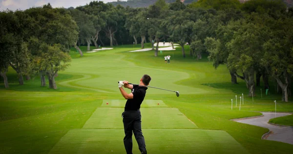 Homem golfista em um campo de golfe — Fotografia de Stock