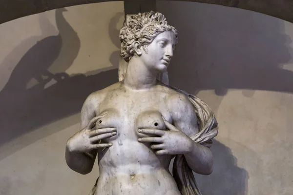 Статуї в Барджелло, Флоренція, Італія — стокове фото