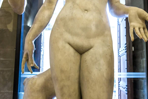 Standbeelden in de Bargello, Florence, Italië — Stockfoto