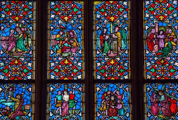 Stained glasses of the cathedral, Josselin, France — Stock Photo, Image