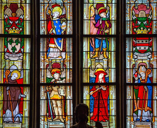 Óculos manchados da catedral, Josselin, França — Fotografia de Stock