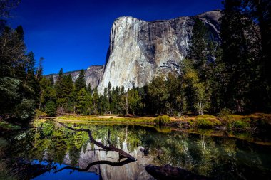 El Capitan 'ın dünyaca ünlü kaya tırmanışı duvarı, Yosemite Ulusal Parkı, Kaliforniya, ABD