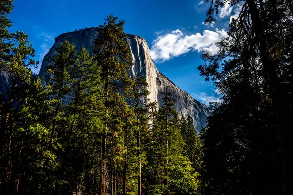 Всесвітня Знаменита Скеляста Стіна Ель Капітана Національний Парк Йосеміті Каліфорнія — стокове фото