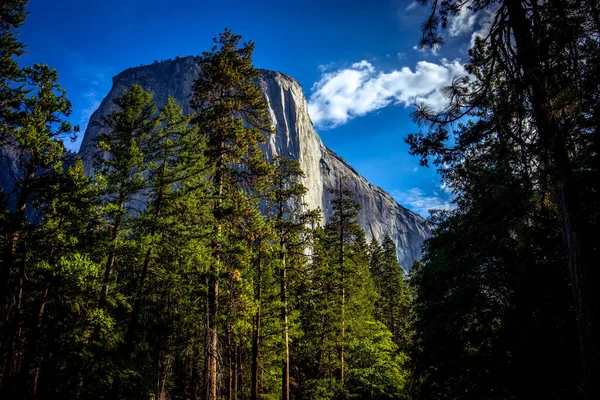 World Famous Rock Climbing Wall Capitan Yosemite National Park California — Stock Photo, Image